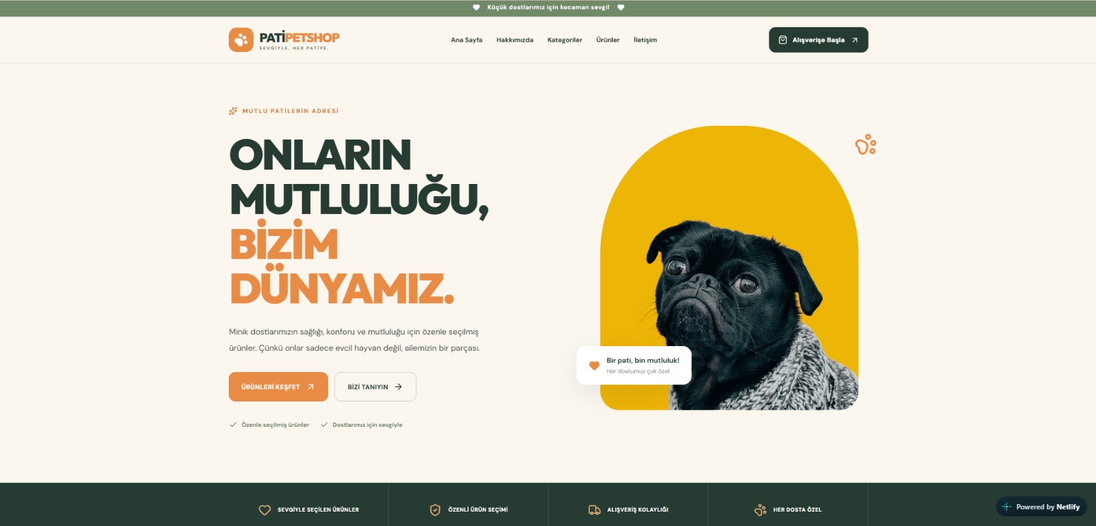 Pati Petshop web sitesi önizlemesi